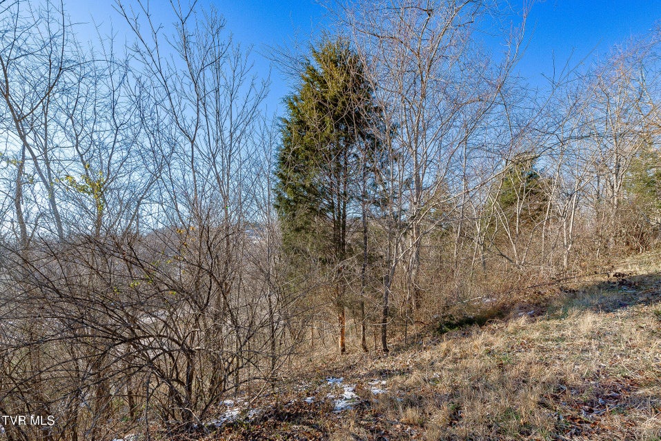 Photo #15: 0 Stonegate Road