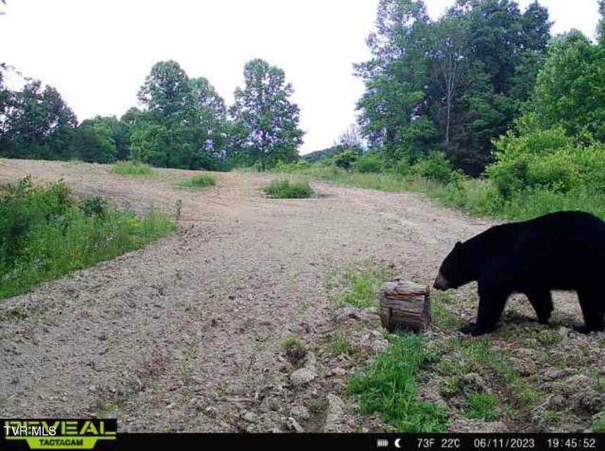 Photo #47: 174 Carr Hollow Rd Road