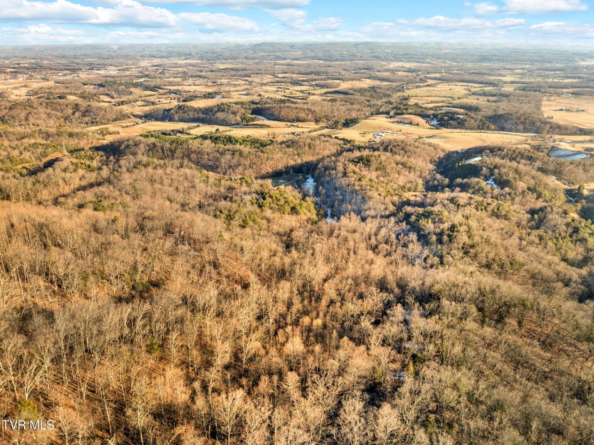 Photo #57: 2480 Gap Mountain Road