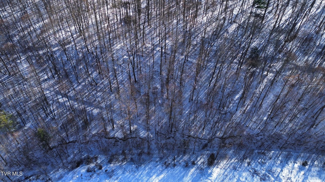 Photo #28: 235 Bear Hollow Road