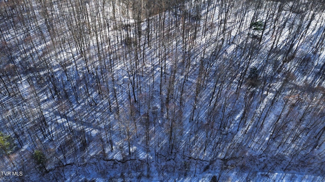 Photo #29: 235 Bear Hollow Road