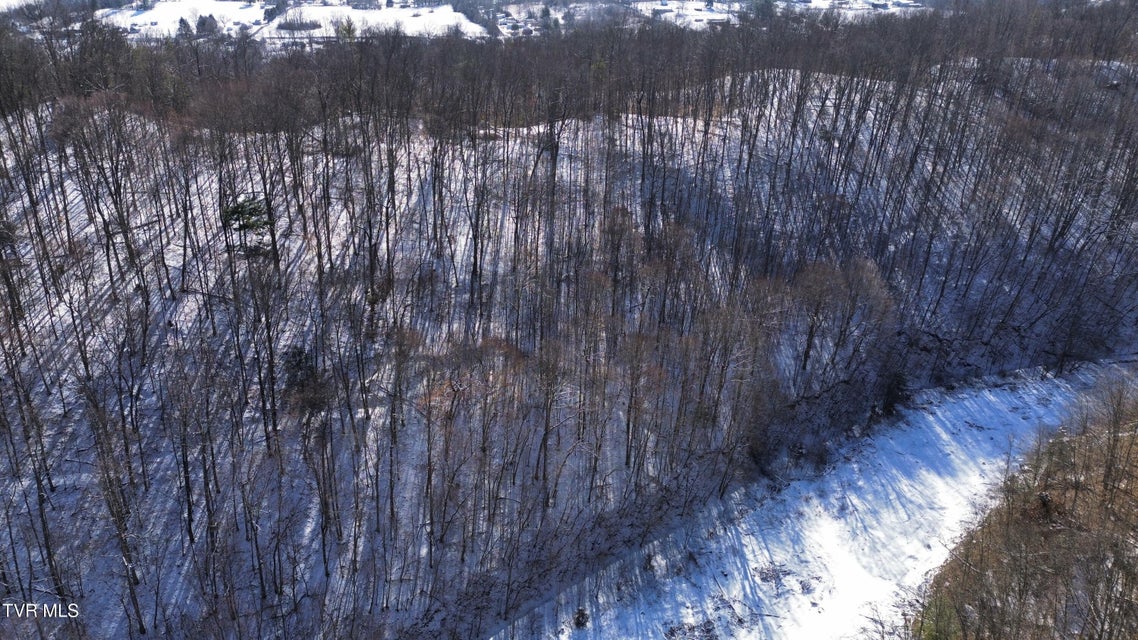 Photo #34: 235 Bear Hollow Road
