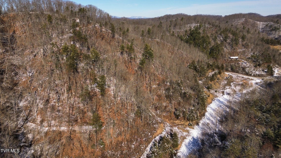 Photo #35: 235 Bear Hollow Road