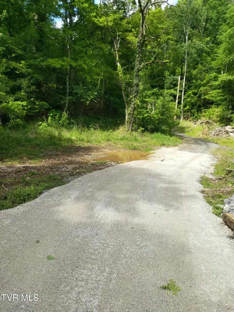 Photo #43: 950 Caney Creek Lane