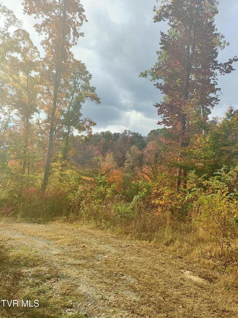 Photo #45: 950 Caney Creek Lane