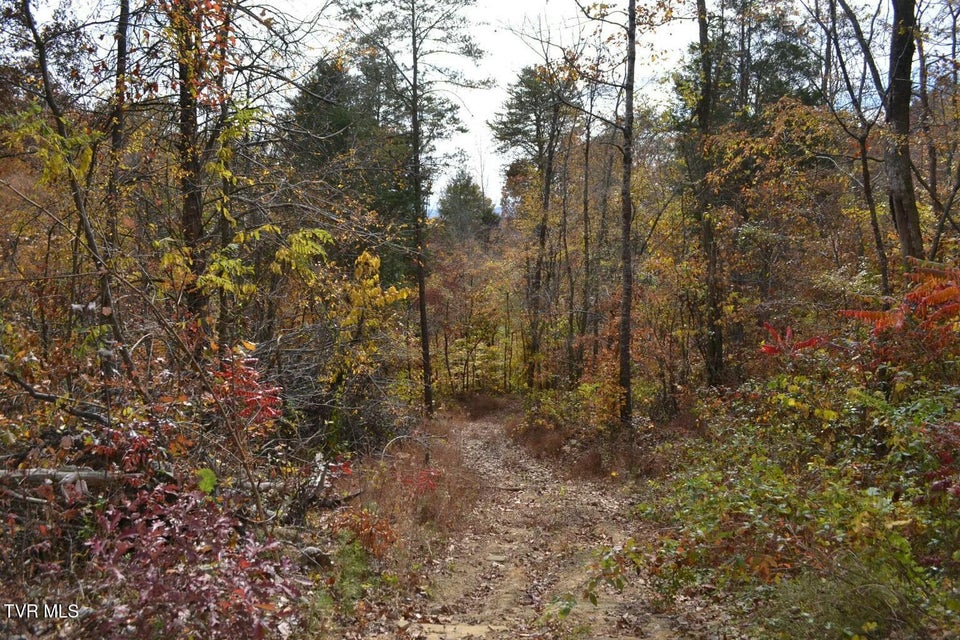 Photo #46: 950 Caney Creek Lane