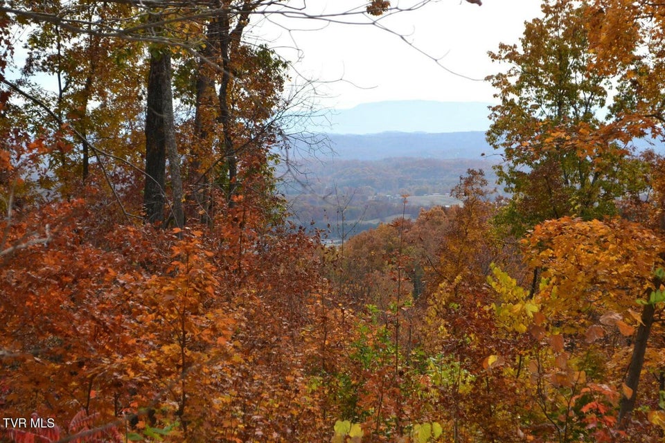 Photo #7: 950 Caney Creek Lane