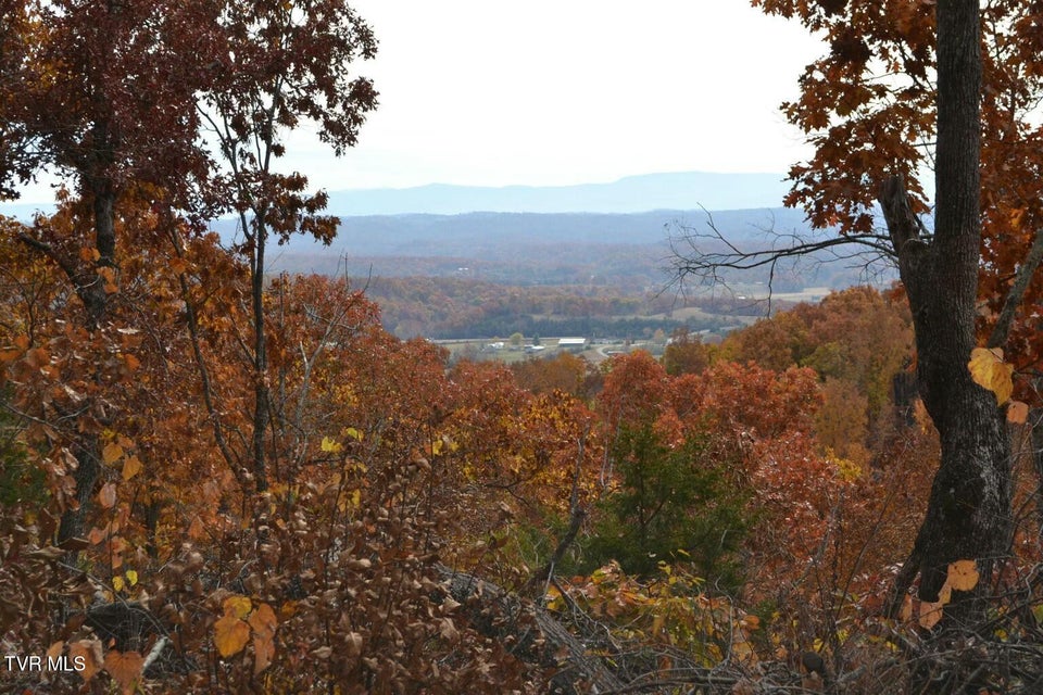 Photo #5: 950 Caney Creek Lane