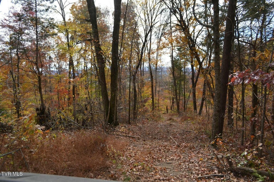 Photo #48: 950 Caney Creek Lane