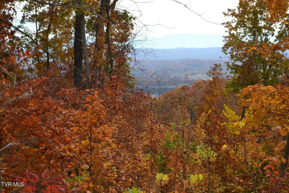 Photo #50: 950 Caney Creek Lane