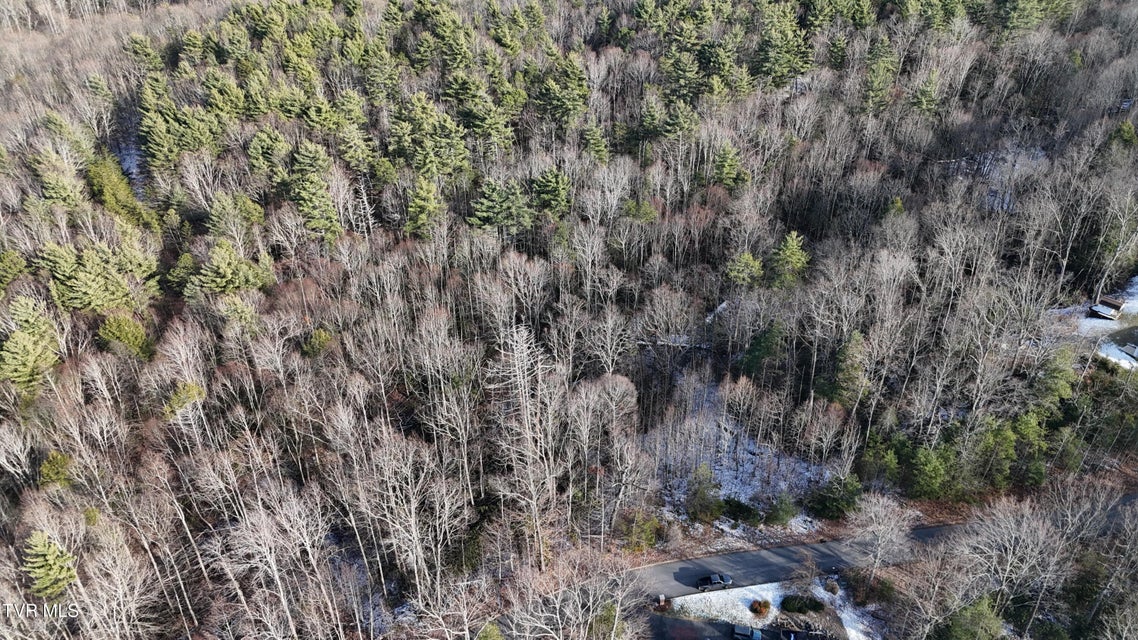 Photo #20: Tr 11 Mountain Laurel Court