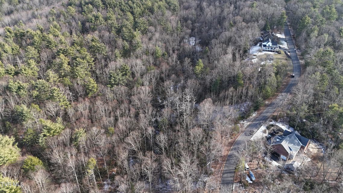 Photo #19: Tr 13 Mountain Laurel Court
