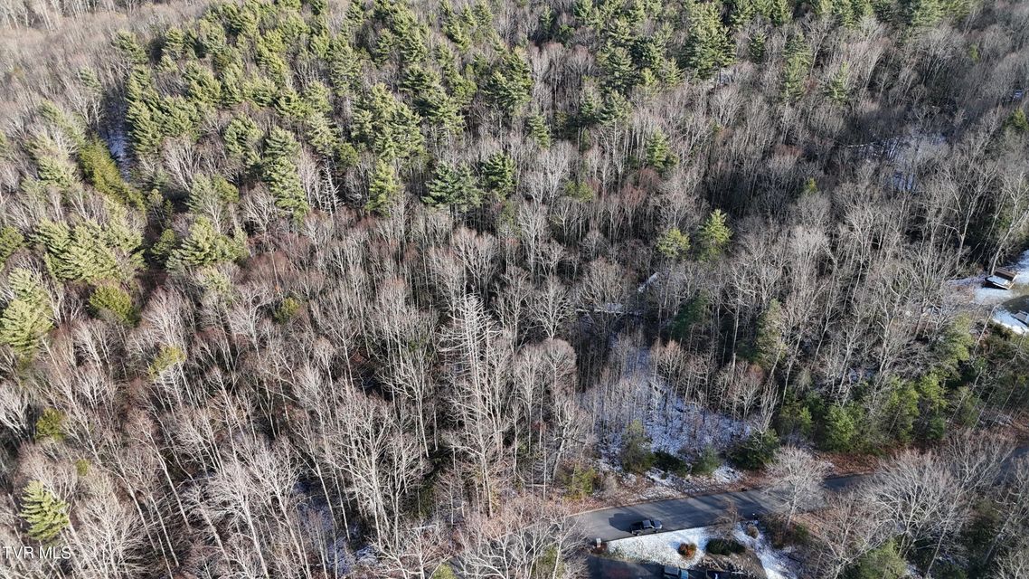 Photo #20: Tr 13 Mountain Laurel Court