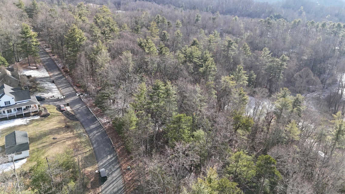 Photo #5: Tr 7 Mountain Laurel Court