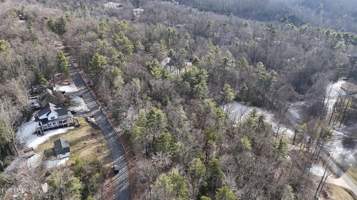 Photo #6: Tr 7 Mountain Laurel Court