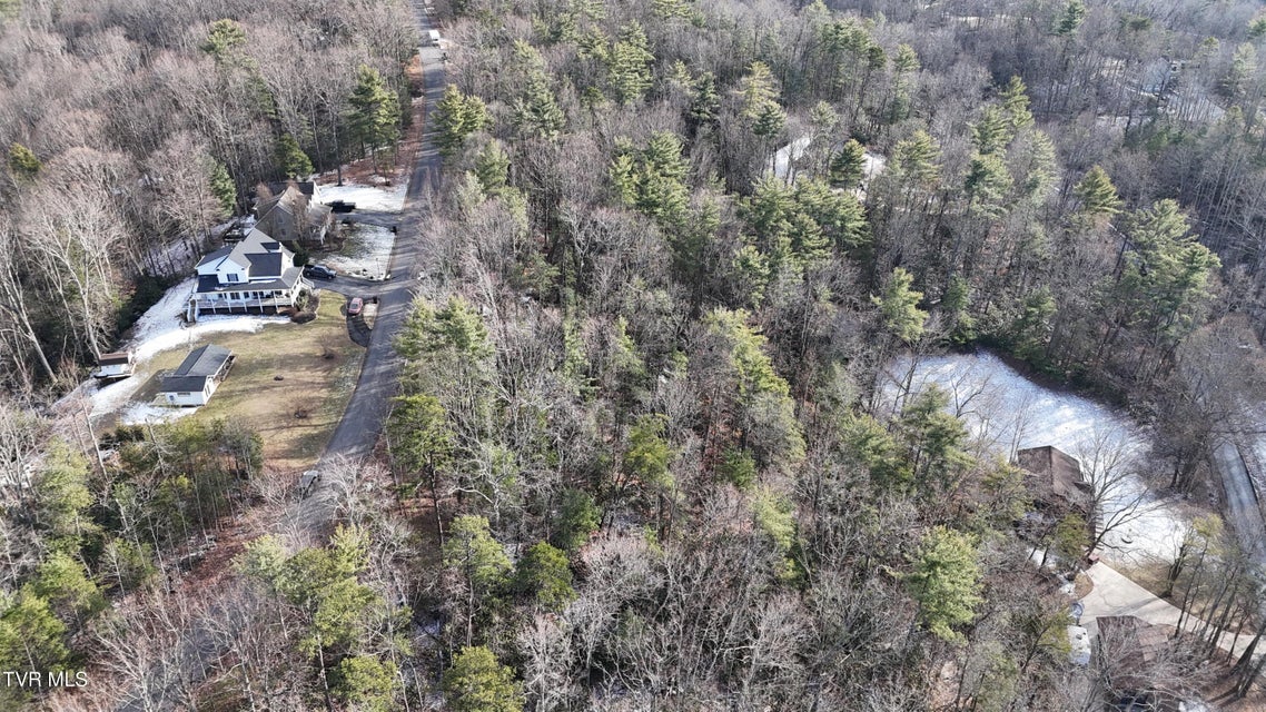 Photo #8: Tr 7 Mountain Laurel Court