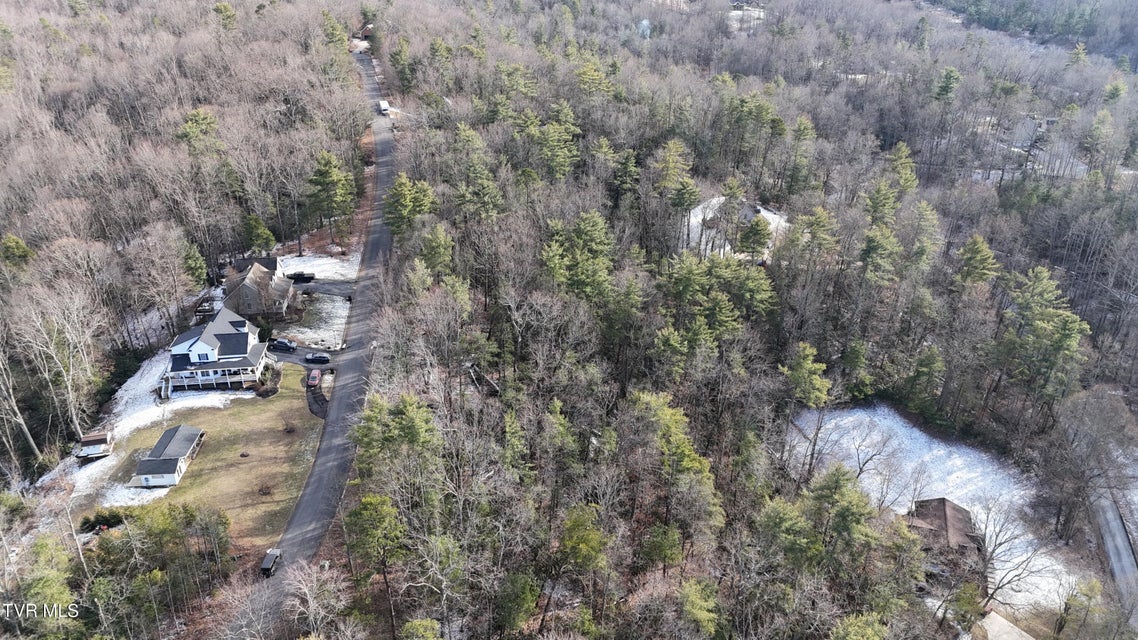 Photo #9: Tr 7 Mountain Laurel Court