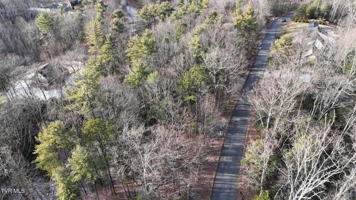 Photo #27: Tr 7 Mountain Laurel Court