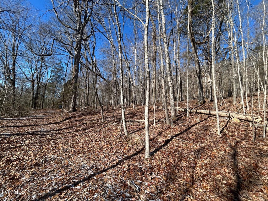 Photo #6: Tbd Carters Valley Loop