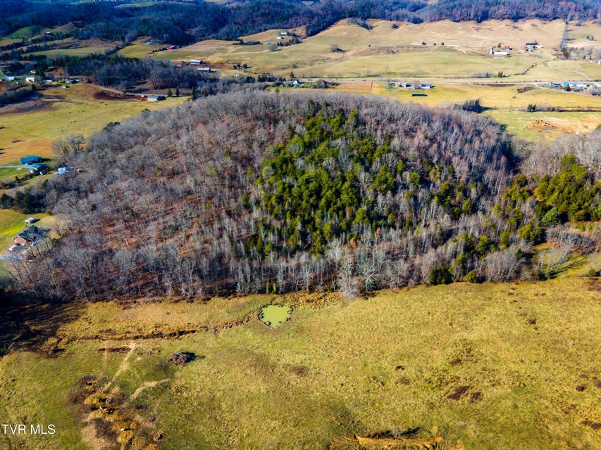 Photo #8: Tbd Carters Valley Loop