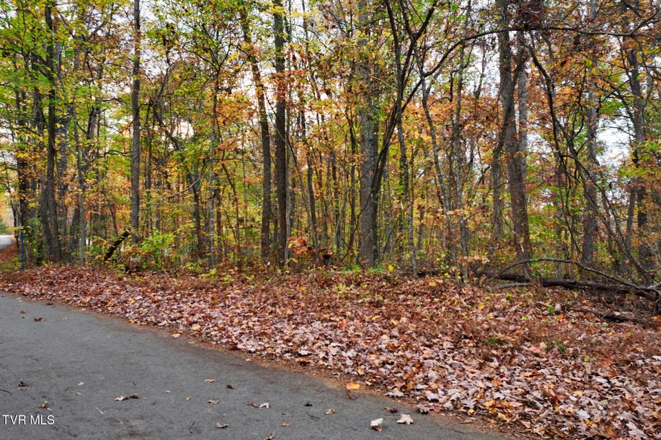 Photo #3: Lot #7 Walker Road