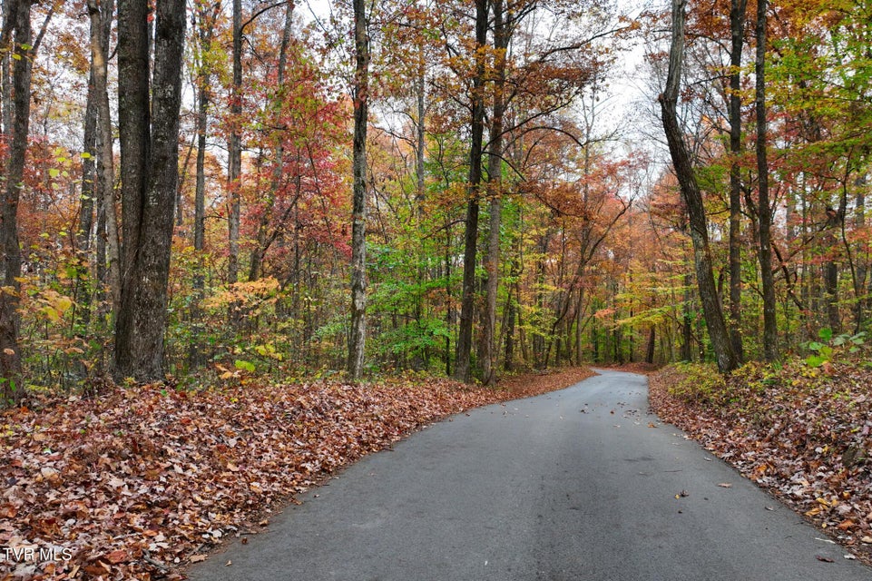 Photo #9: Lot #7 Walker Road