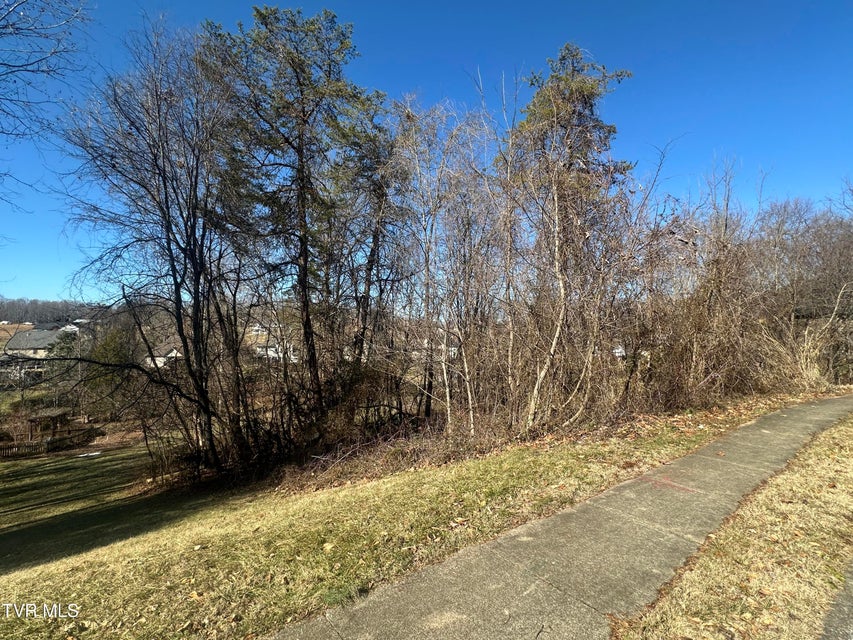 Photo #3: 123 Vicksburg Road
