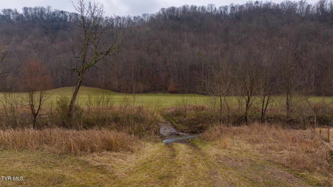 Photo #23: 0 Gap Creek Road