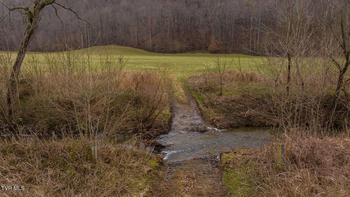 Photo #24: 0 Gap Creek Road