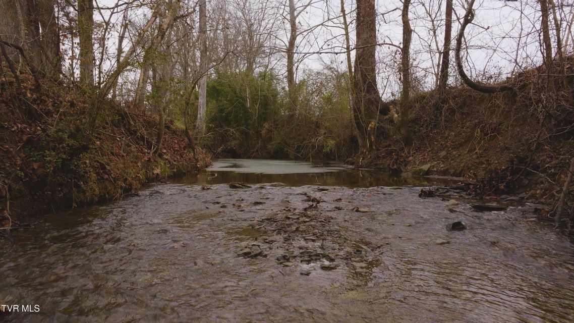 Photo #5: 0 Gap Creek Road