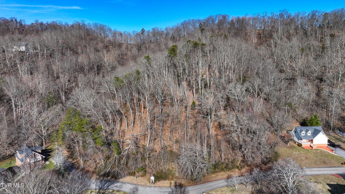 Photo #15: Tbd Spindletop Drive