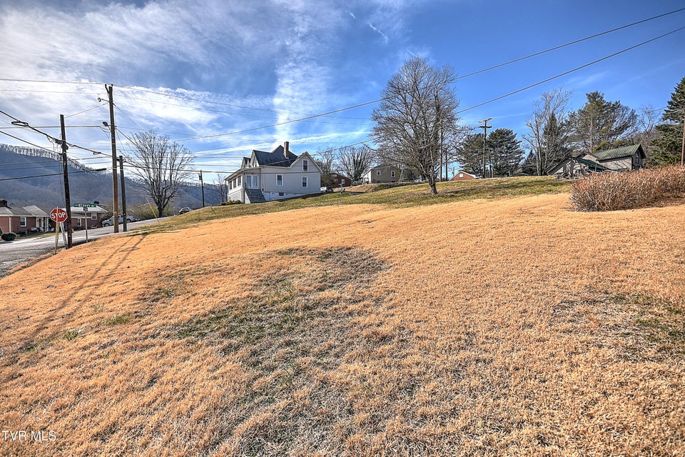 Photo #51: 196 Cypress Street