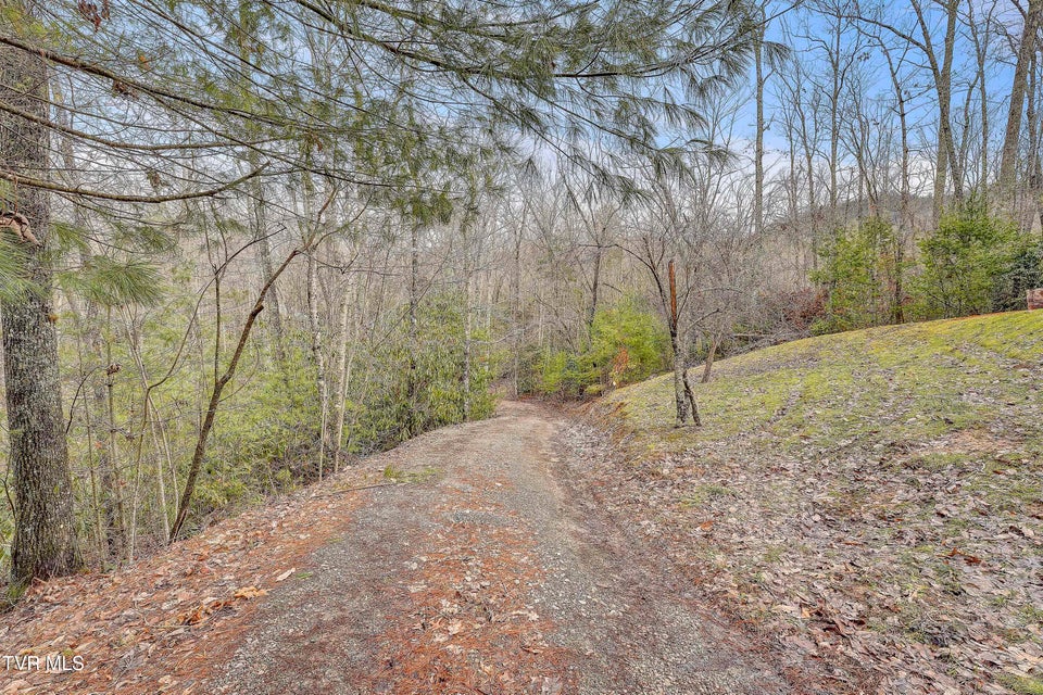 Photo #47: 251 Ashtyn Private Lane