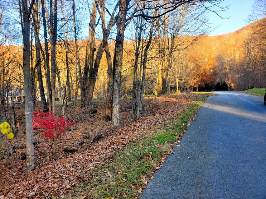Photo #3: 000 Toms Creek Drive
