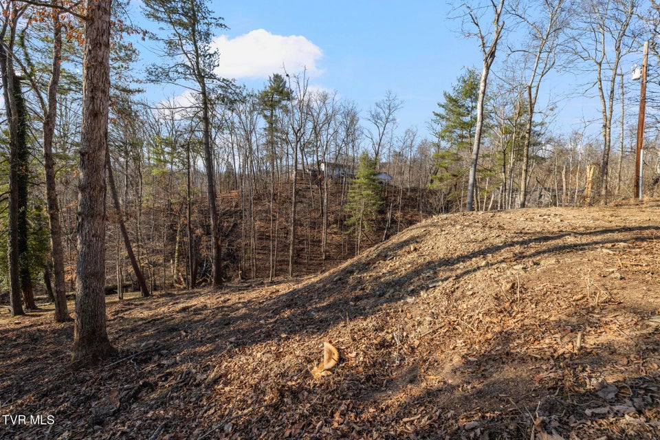 Photo #4: 146 Cloudland Drive