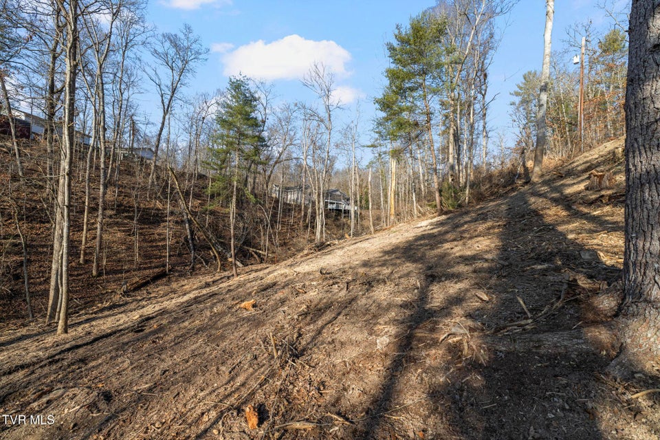 Photo #5: 146 Cloudland Drive