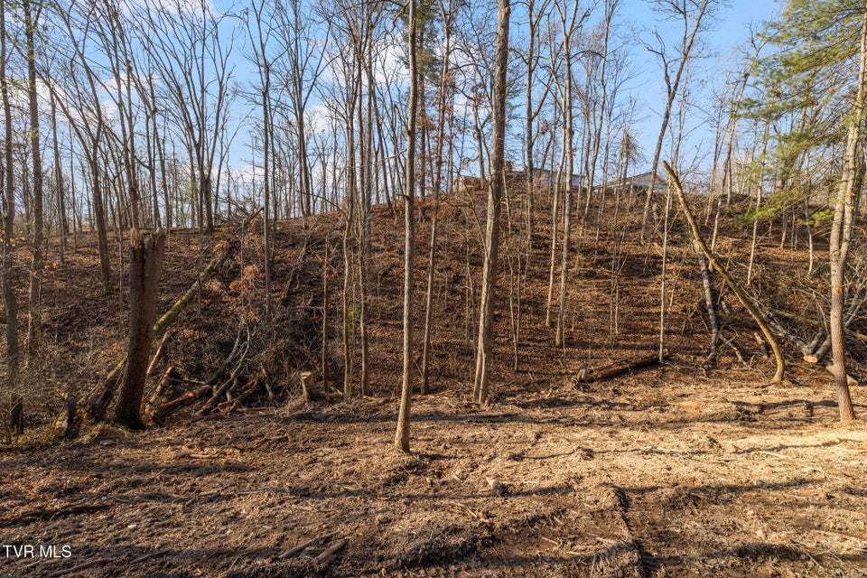 Photo #6: 146 Cloudland Drive