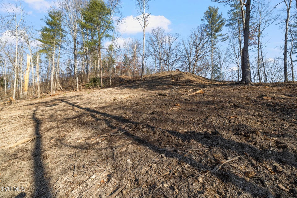 Photo #7: 146 Cloudland Drive