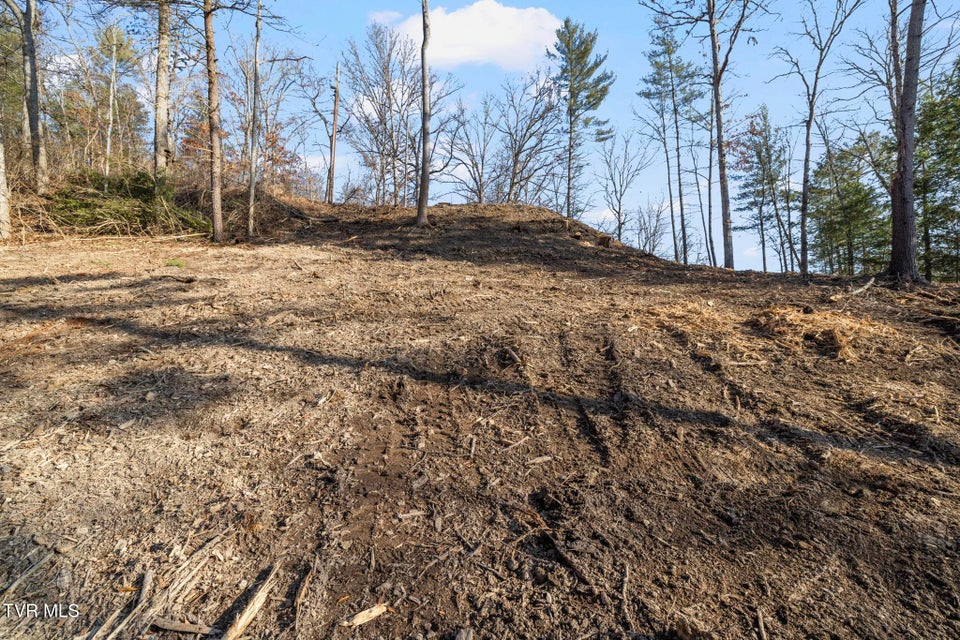 Photo #8: 146 Cloudland Drive