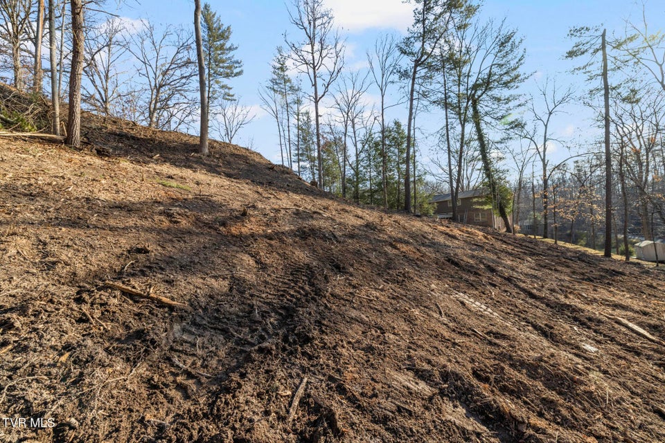 Photo #9: 146 Cloudland Drive