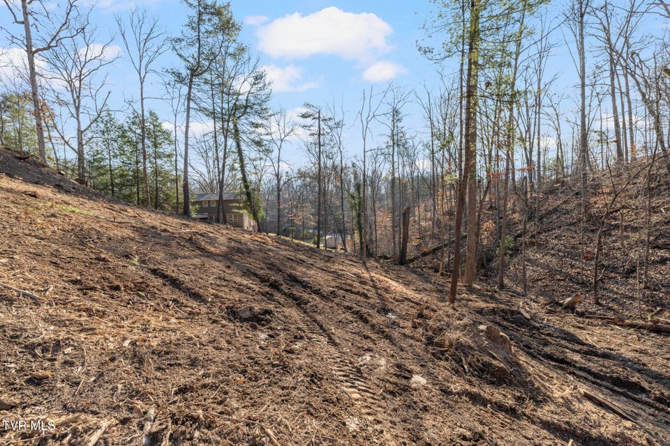 Photo #10: 146 Cloudland Drive