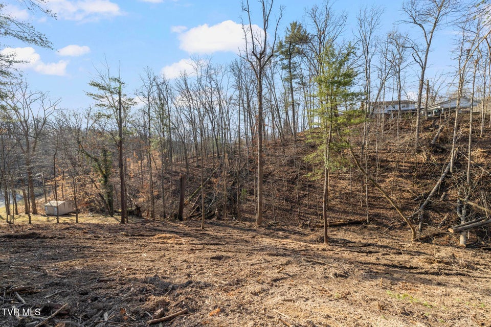 Photo #12: 146 Cloudland Drive