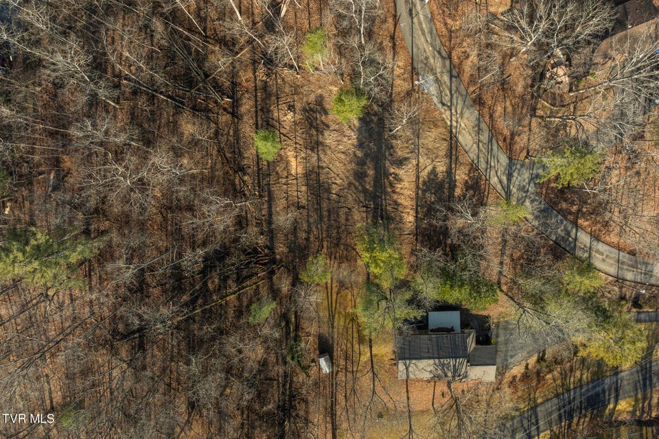 Photo #15: 146 Cloudland Drive