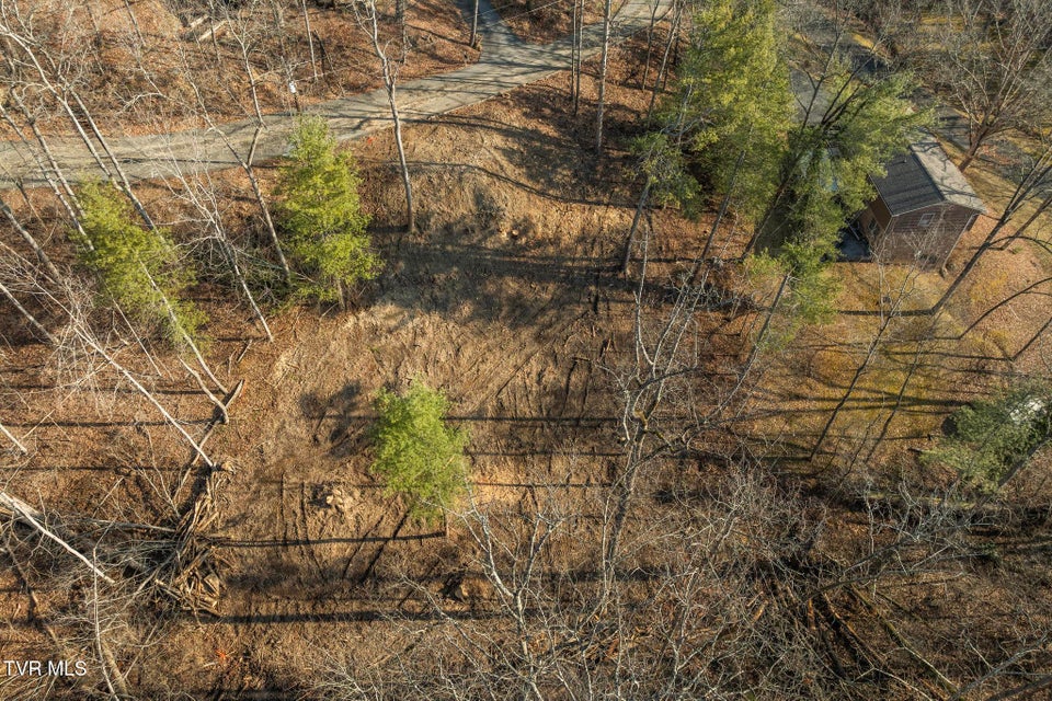 Photo #18: 146 Cloudland Drive