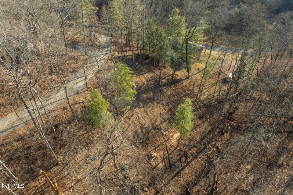 Photo #19: 146 Cloudland Drive