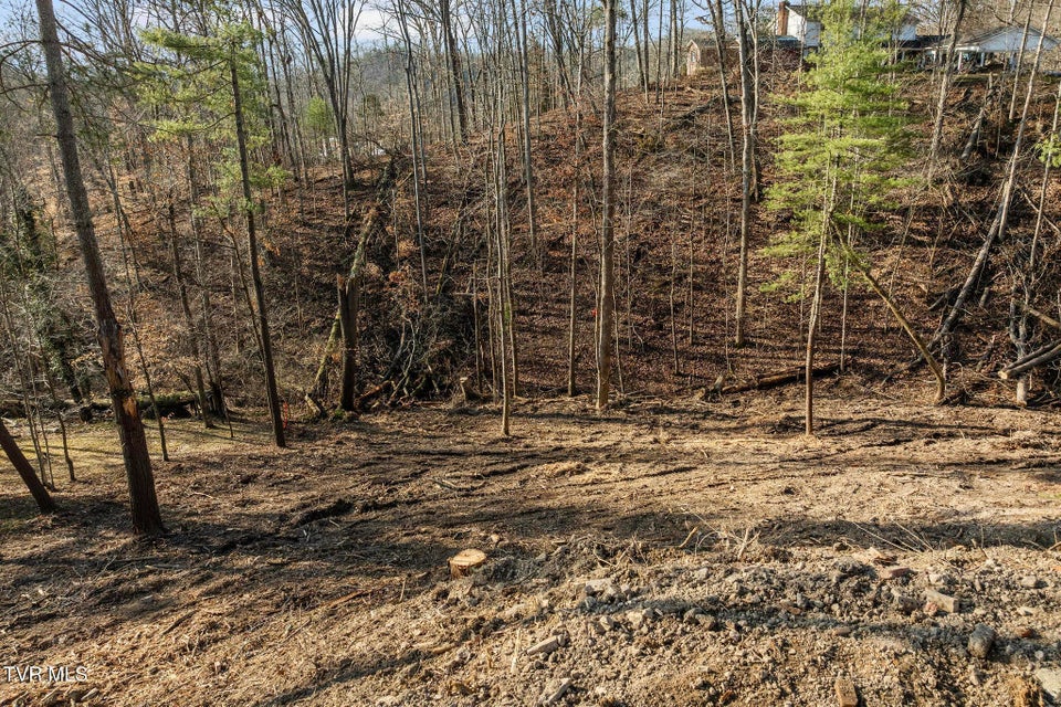 Photo #2: 146 Cloudland Drive