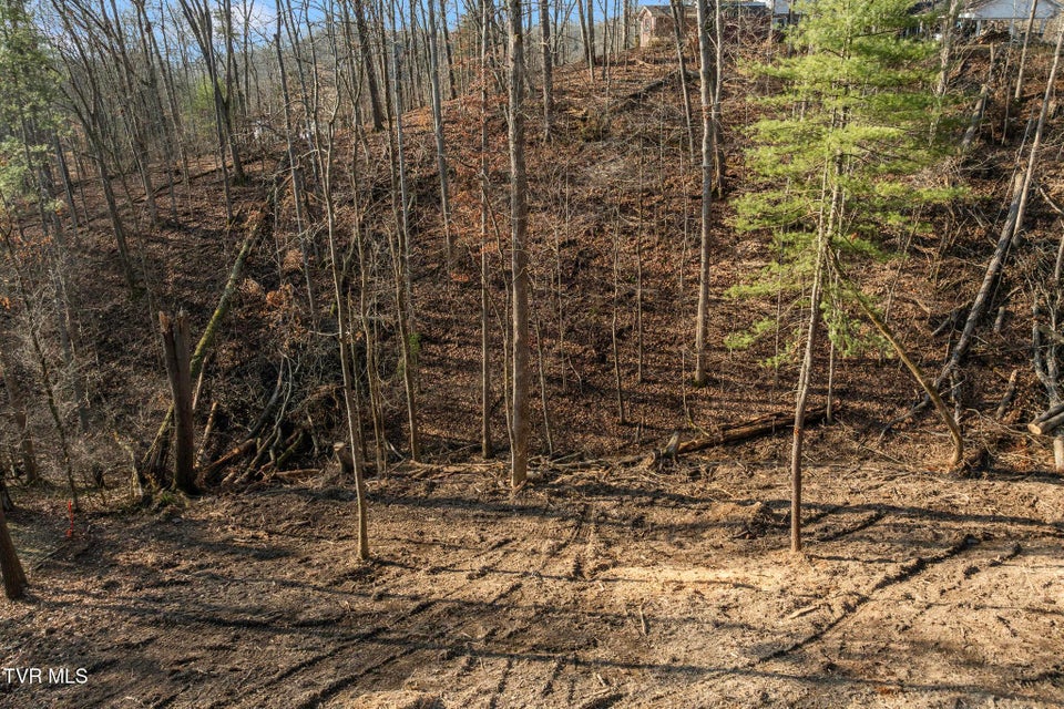 Photo #3: 146 Cloudland Drive