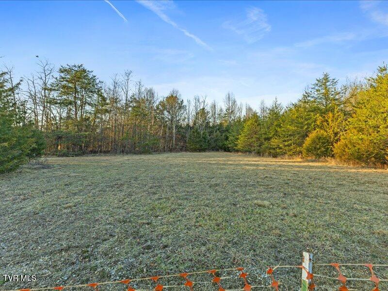Photo #60: 3225 Andrew Johnson Highway