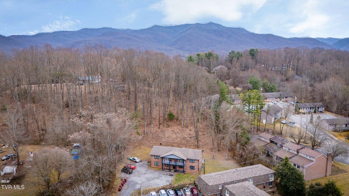 Photo #45: 1810 Parkwood Lane