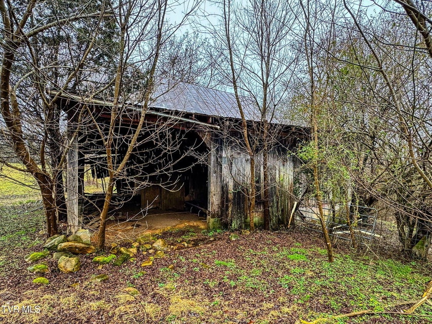 Photo #32: Tbd Hipps Road